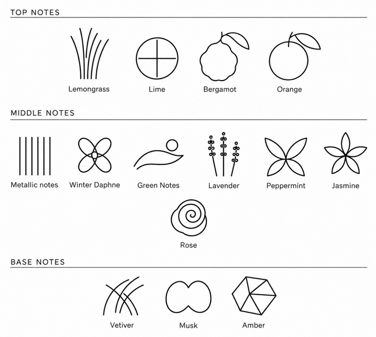 Illustrated fragrance notes