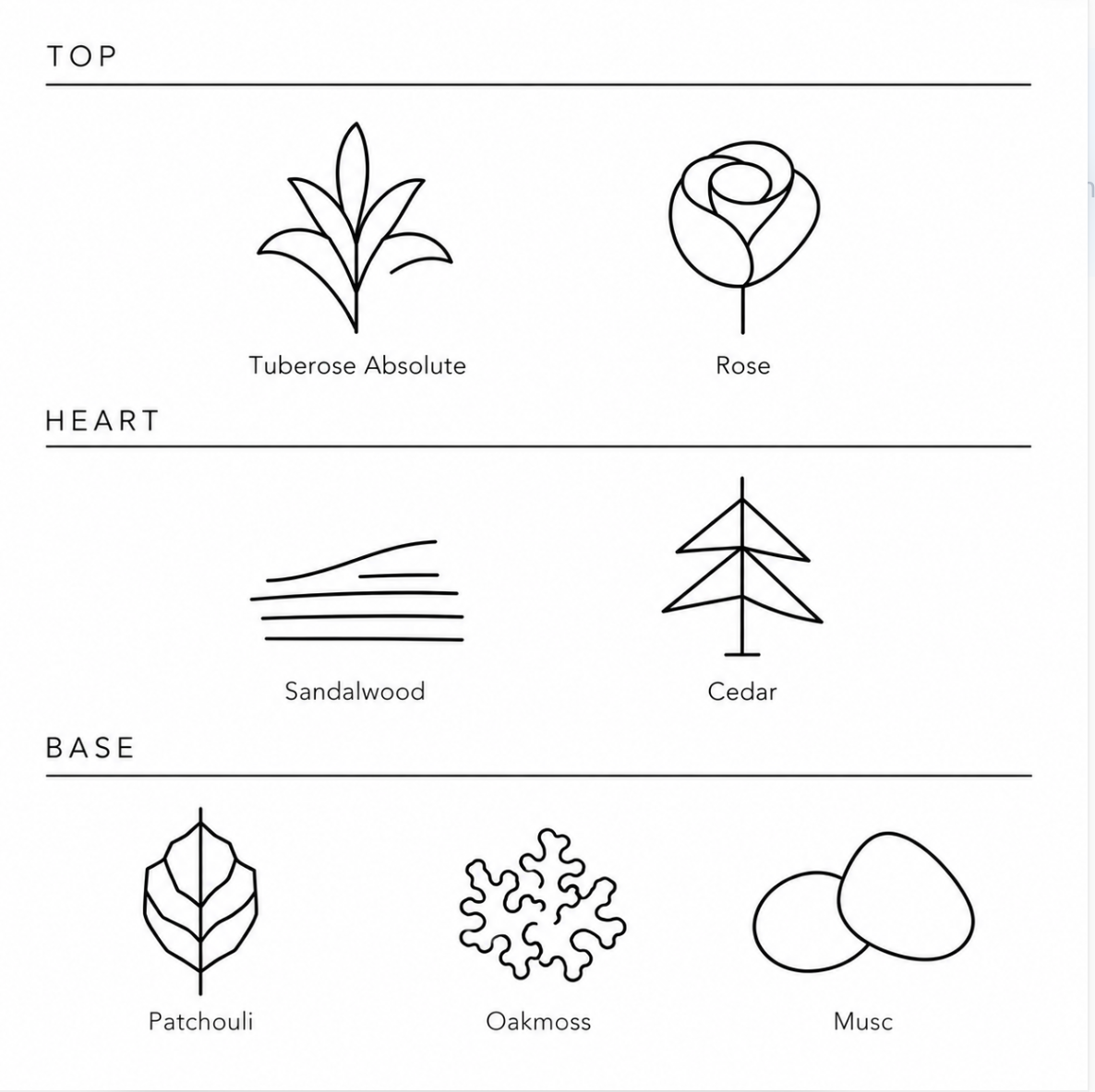 Illustrated fragrance notes