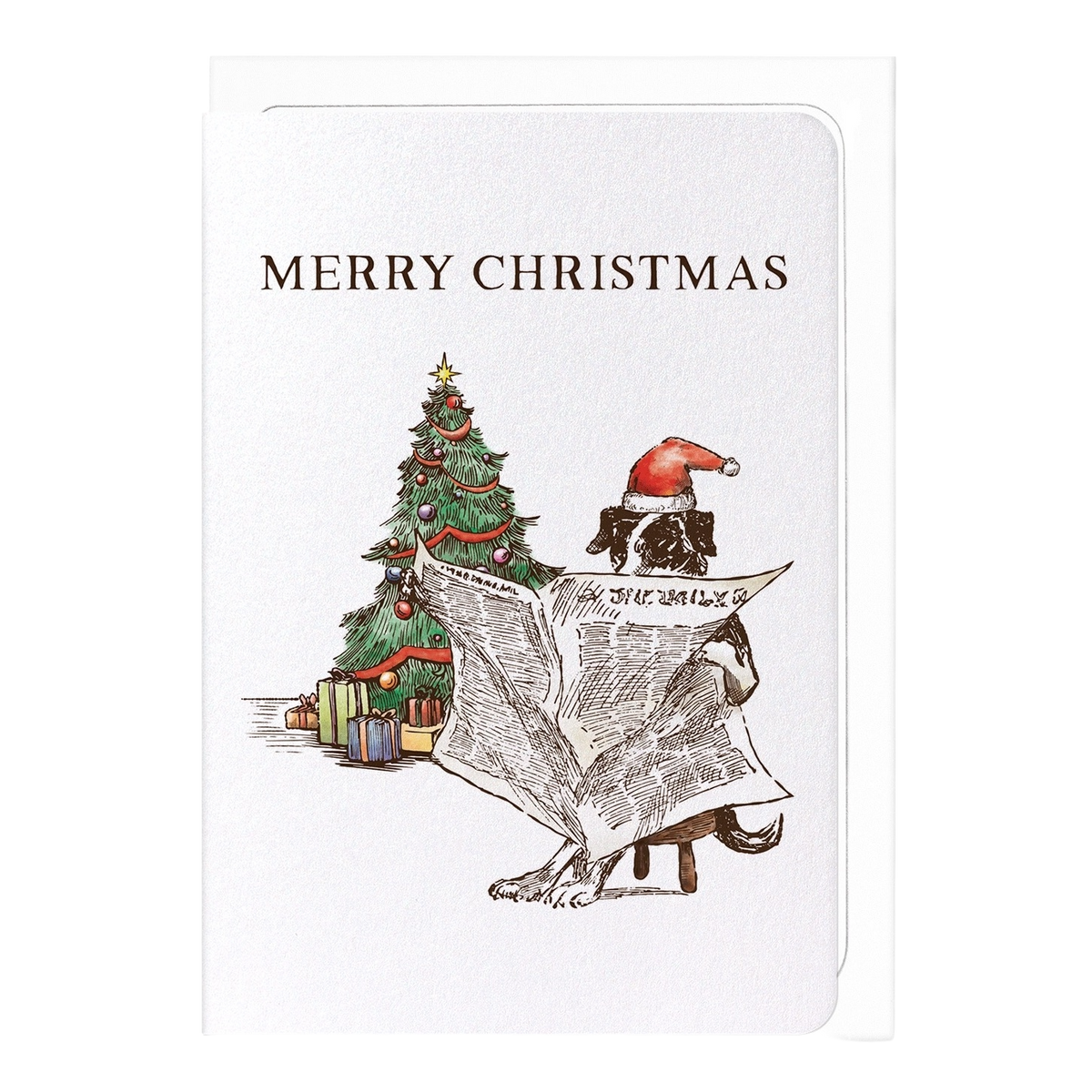 Reading Christmas Chronicle Card