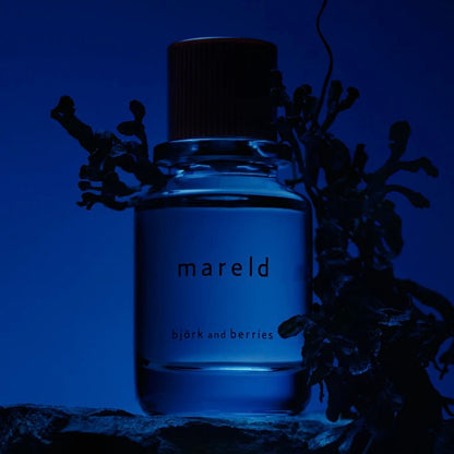 bjorkandberries mareld edp still life ecom 3x4 99b78ad7 67c0 4b65 8983 5b8c2fe5c186 1024x1024 jpg