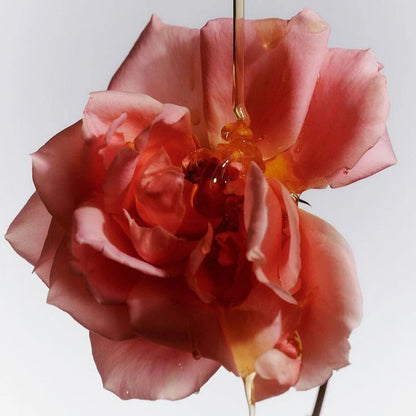 rose jpg
