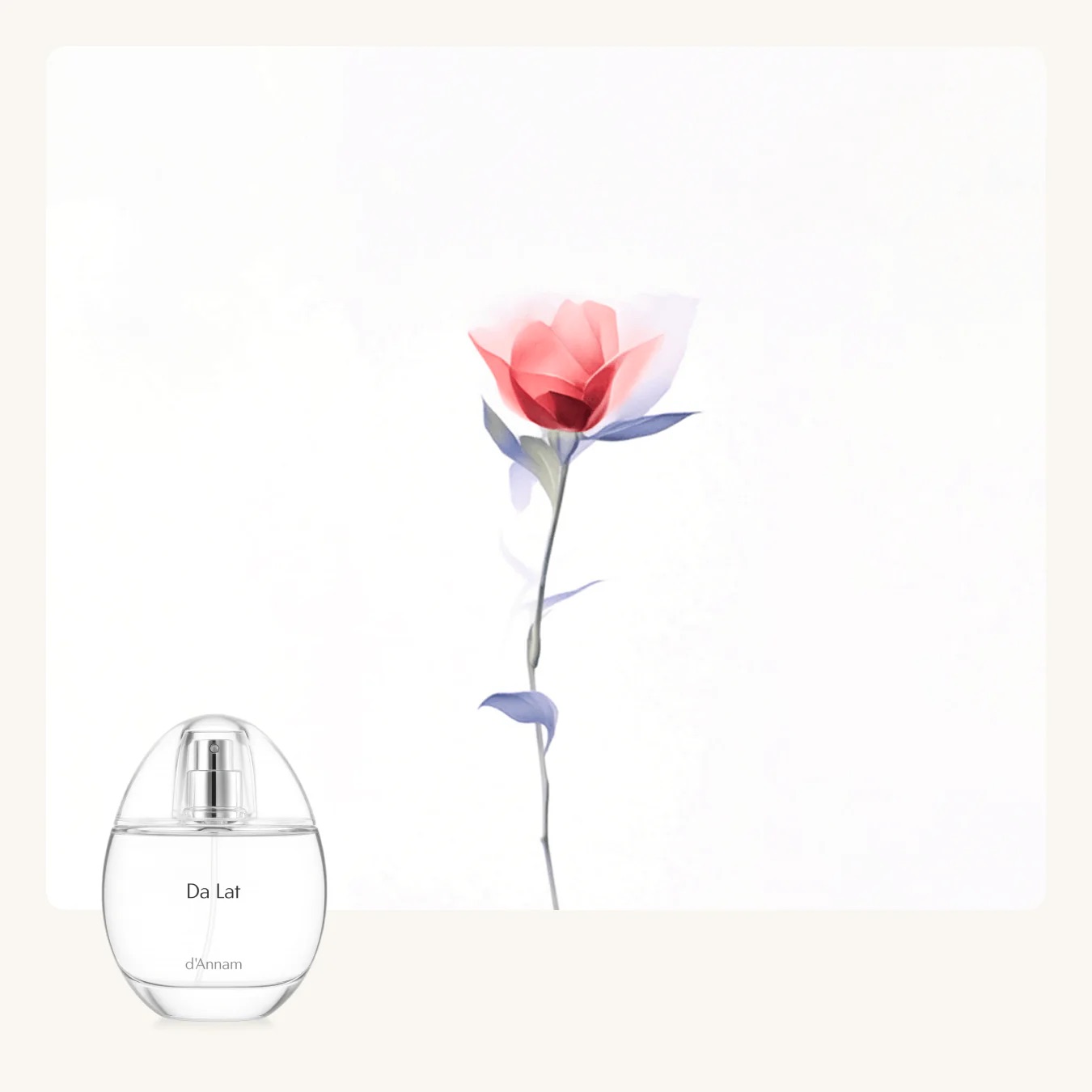 d'Annam Da Lat EDP 50ml – Godshot studio