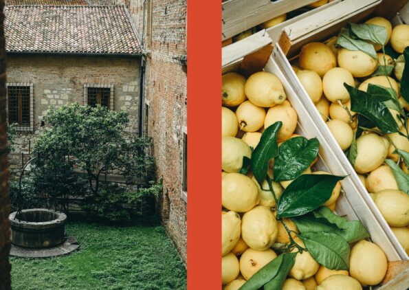 La Nostra Cucina Povera - Image 3