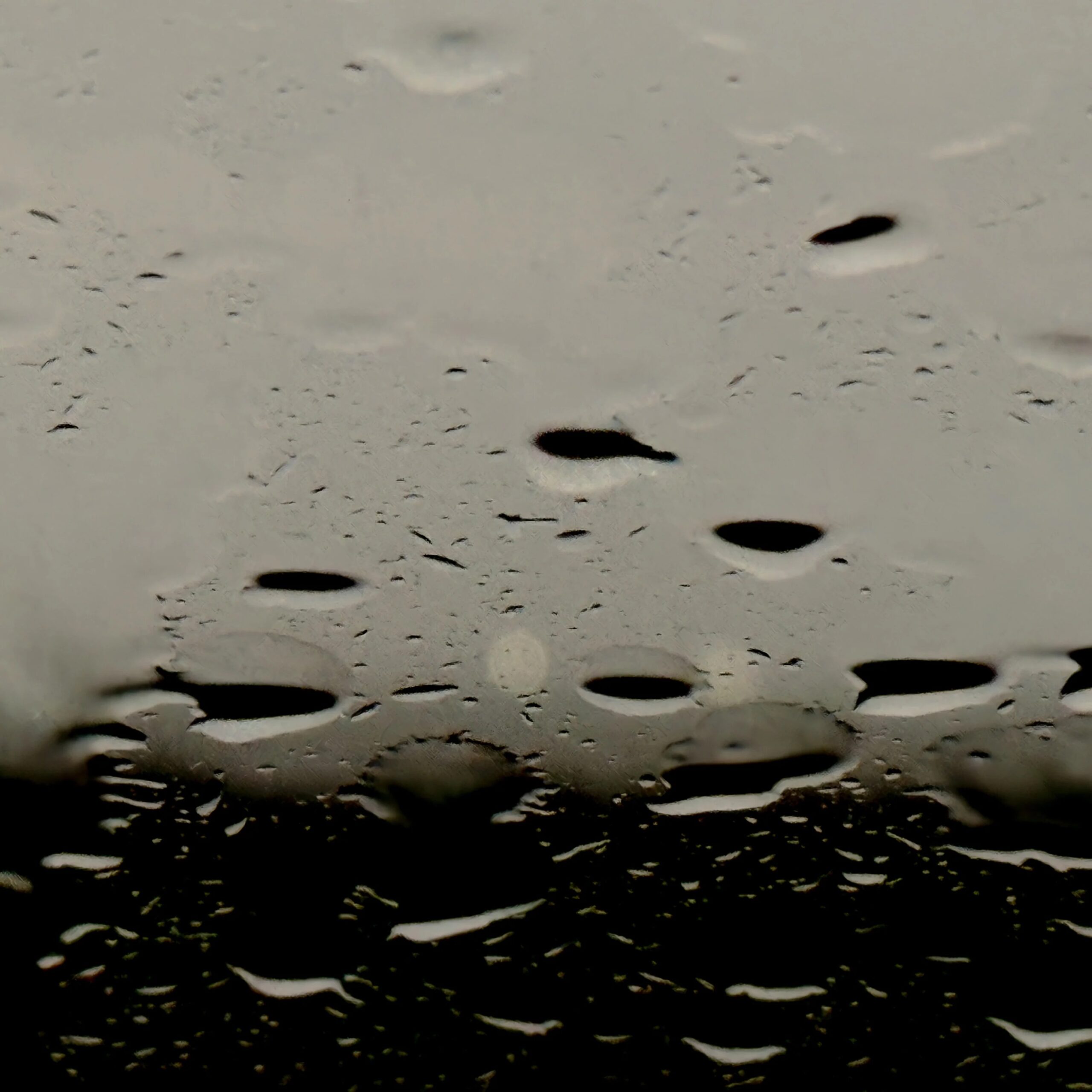 Haeckels Candle 240ml - Image 19