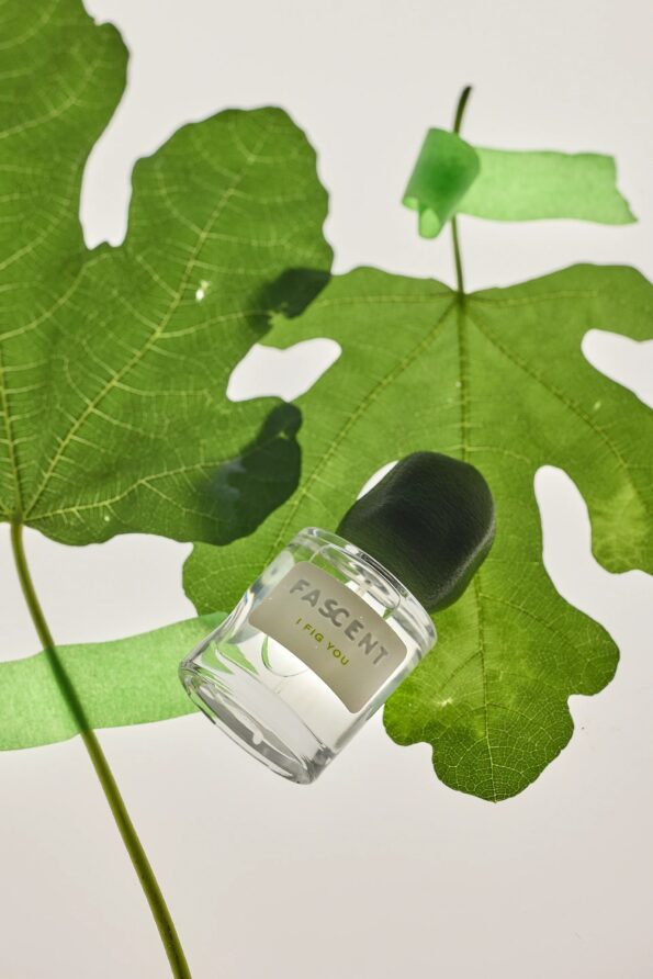 Fascent I Fig You 30ml - Image 5