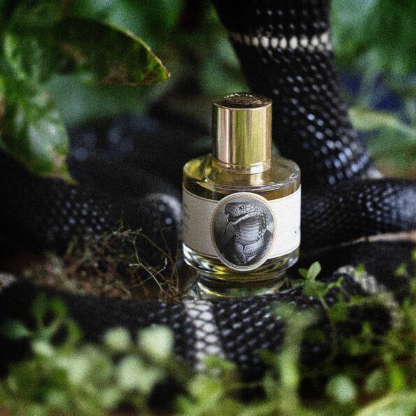 Zoologist King Cobra Deluxe Bottle Extrait de Parfum 60ml - Image 3