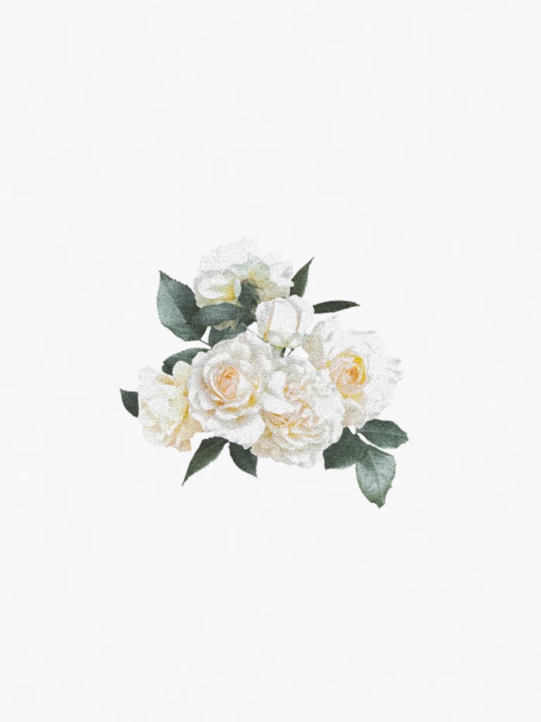 Hetkinen White Rose