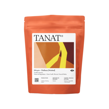 TANAT - Chelbesa [Washed] 200g | Ethiopia