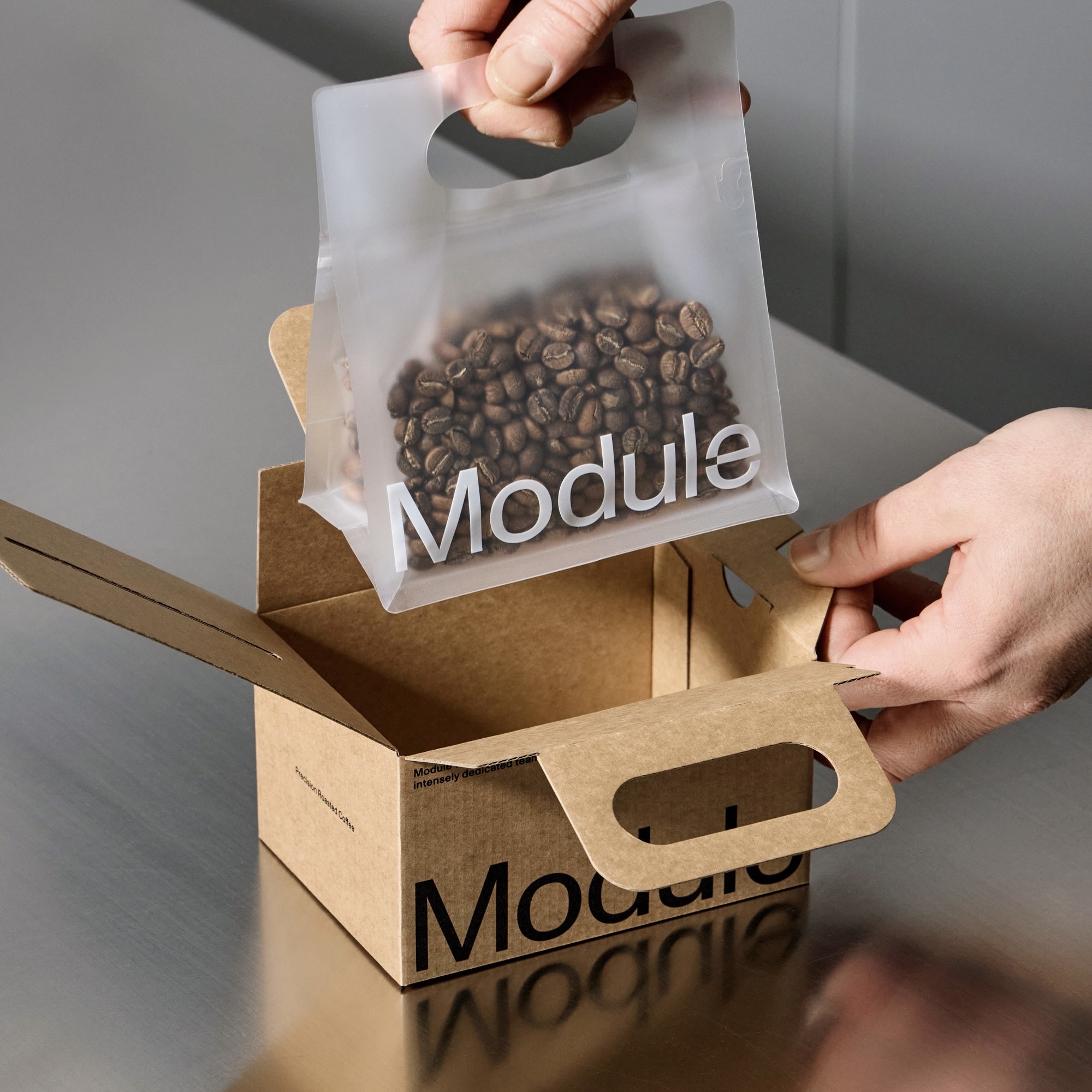 Module M21 200g | Panama