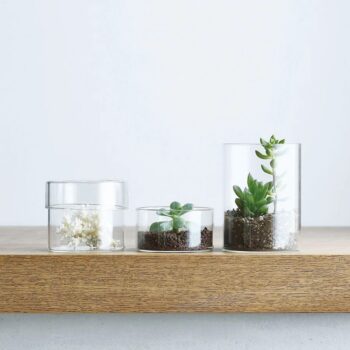 Kinto Schale Glass Case