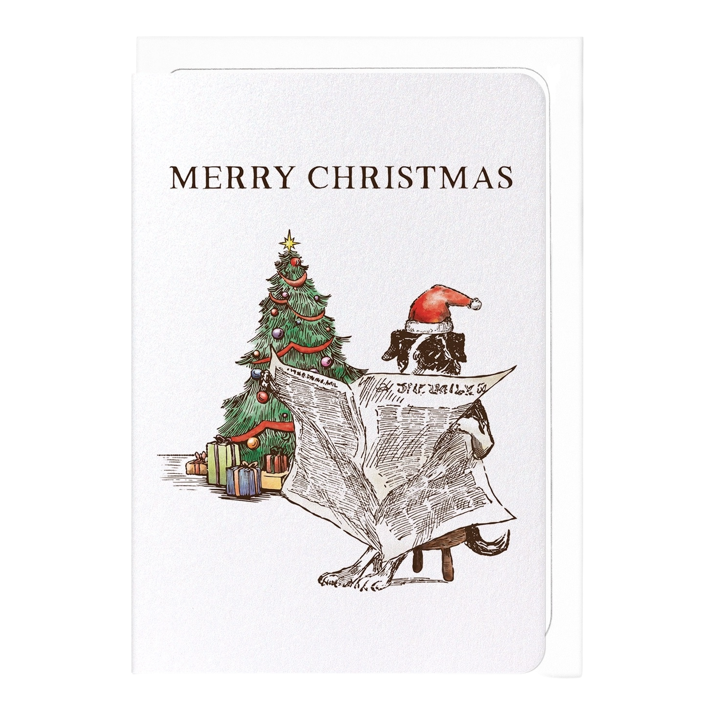 Reading Christmas Chronicle Card