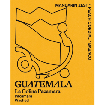 Hundred House - Guatemala, La Colina Pacamara 227g