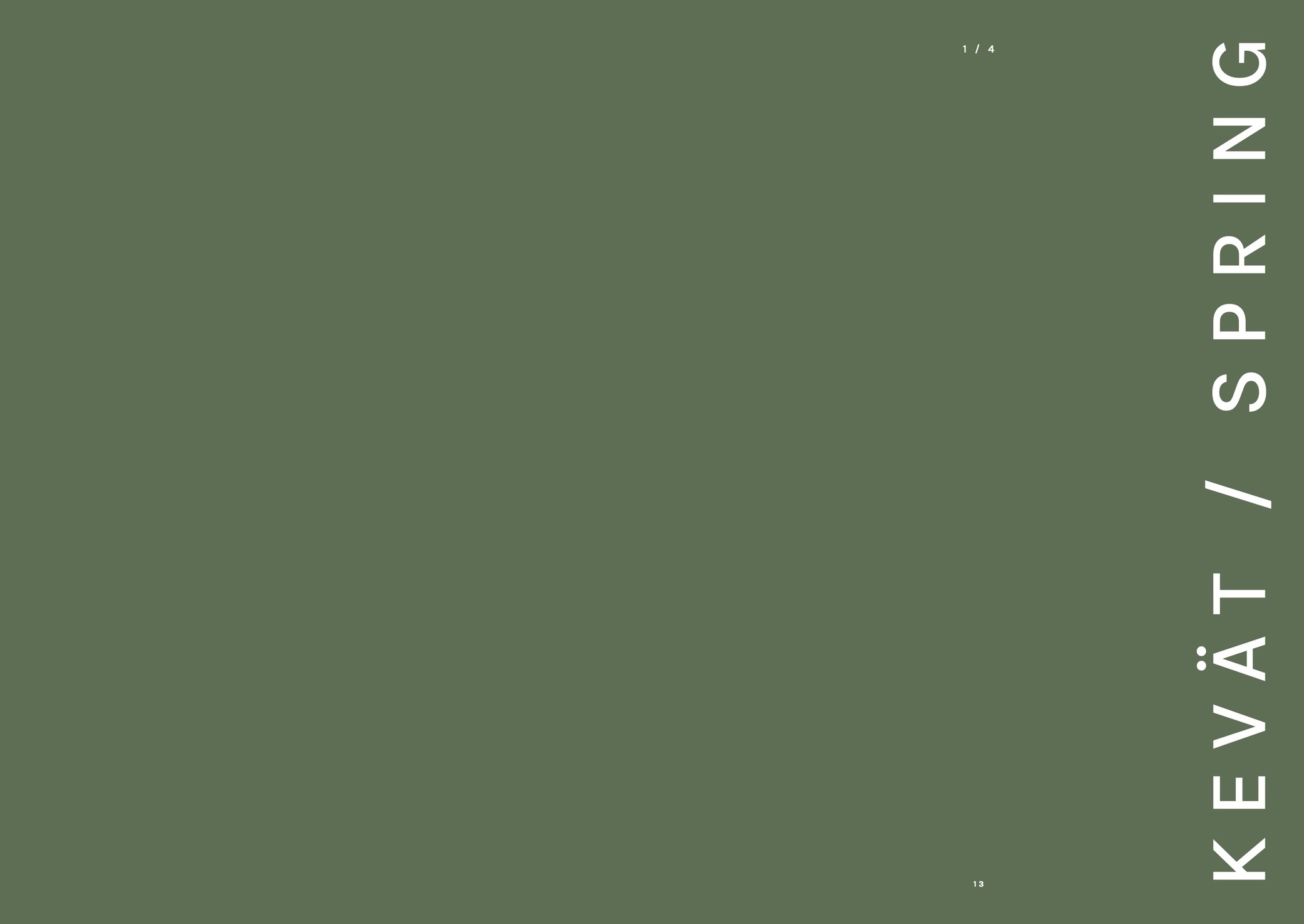 Image-637.jpg